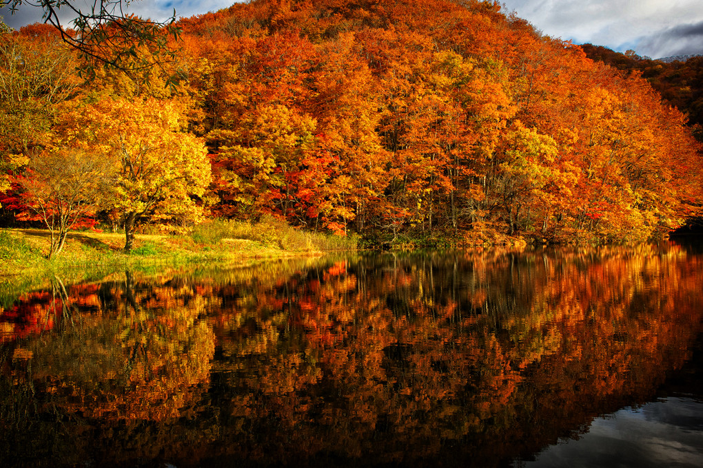 autumn reflection