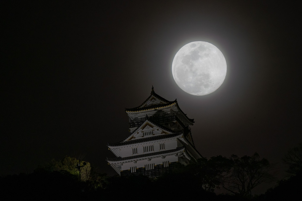 岐阜城とお月様