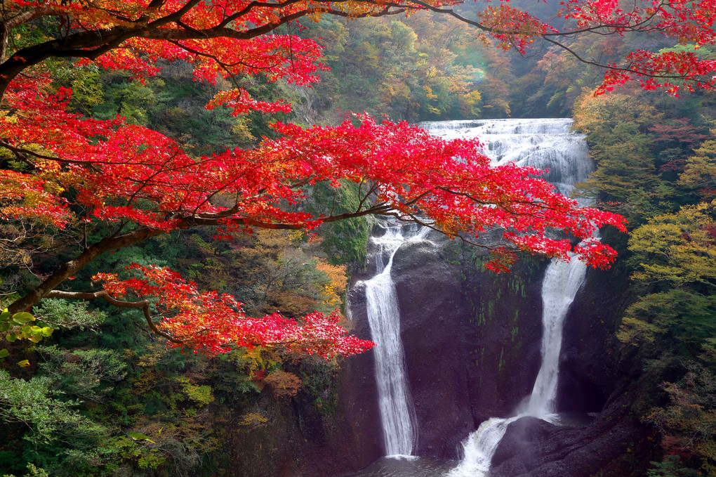 秋の袋田の滝
