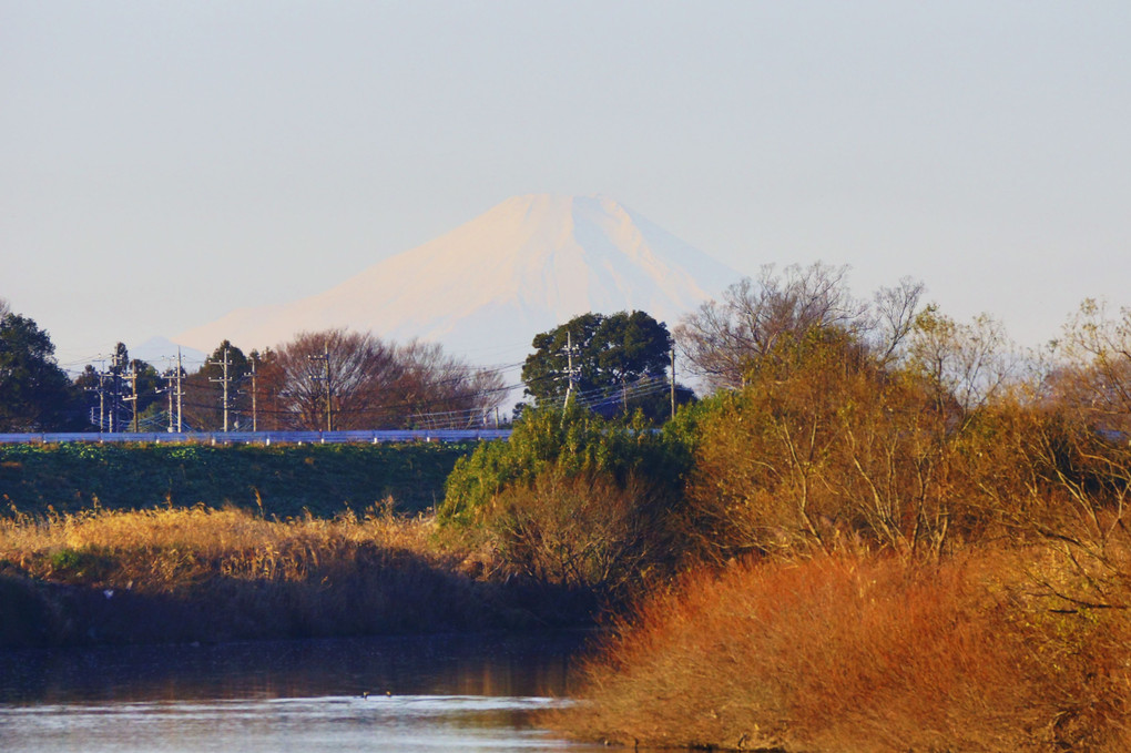 2021-12-19 今朝の富士山