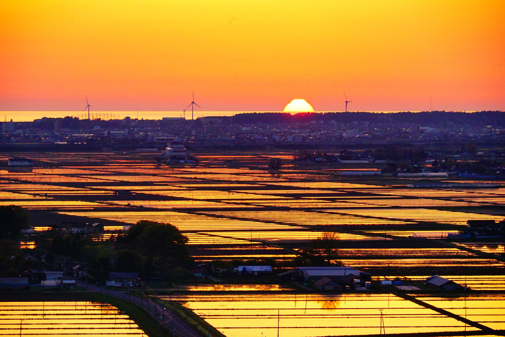 米どころ庄内平野から日本海へと沈む夕陽
