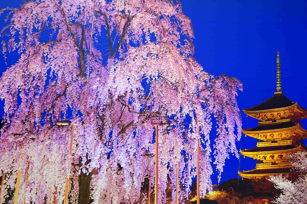 京都、東寺ぶらり、撮り歩き五景、