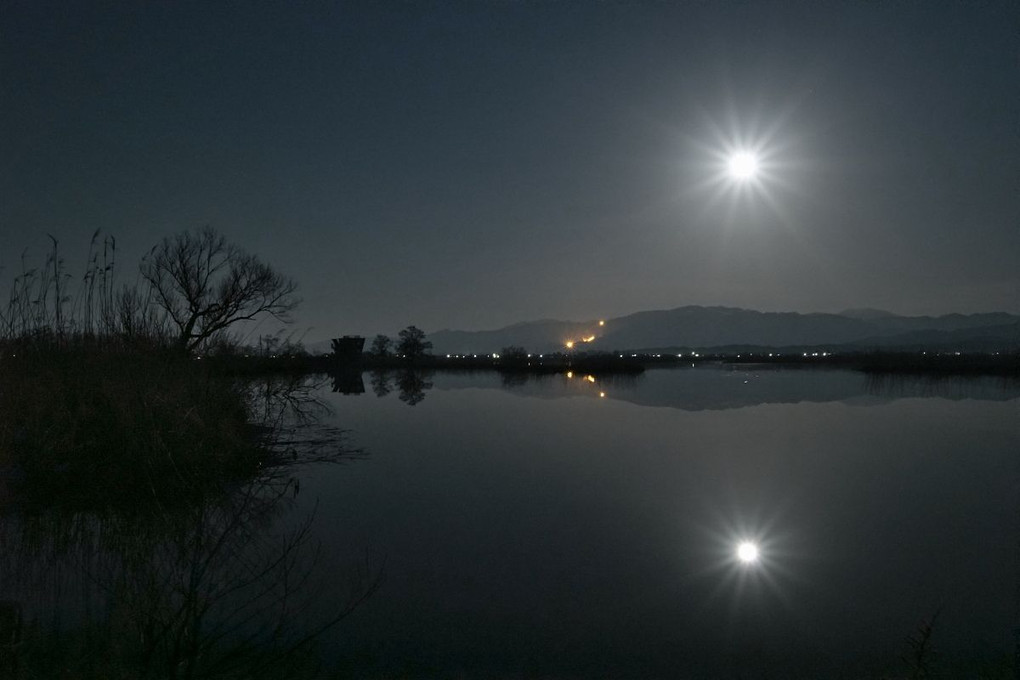 月夜の福島潟