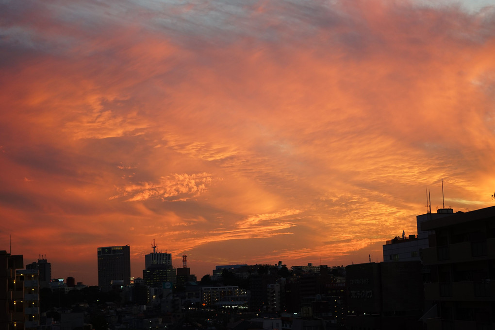 横浜の夕焼け