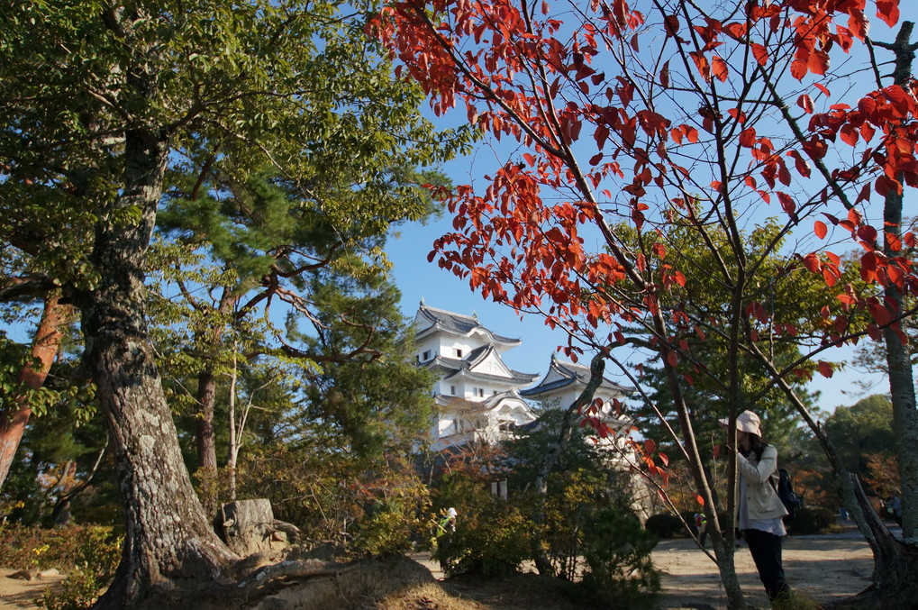 伊賀上野城を訪ねて