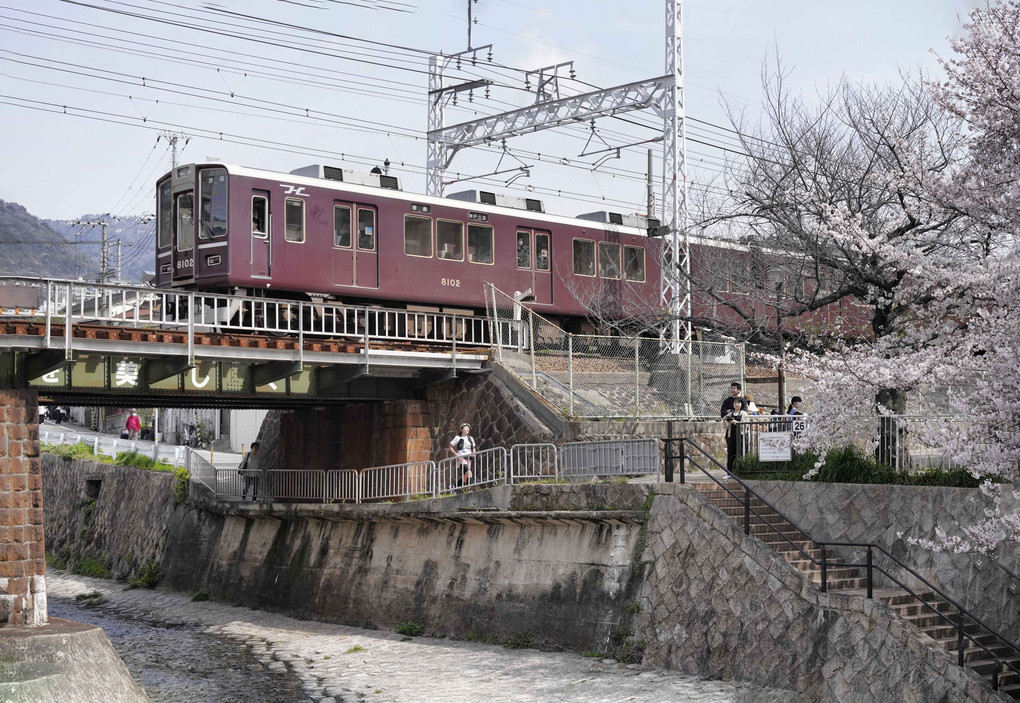 都賀川の桜と阪急電車