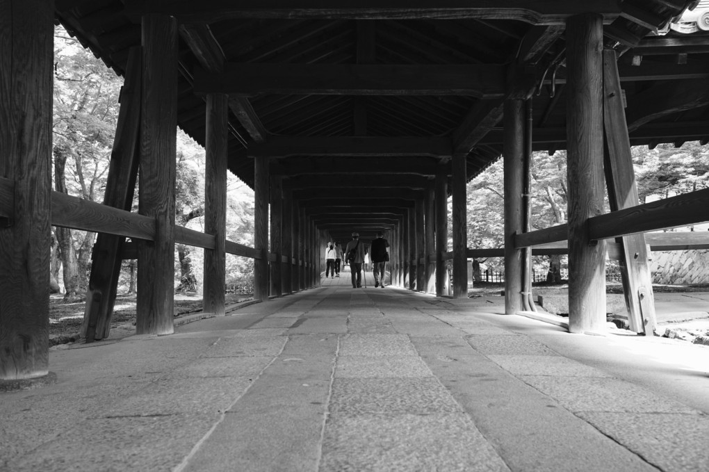東福寺 方丈 「八相の庭」より