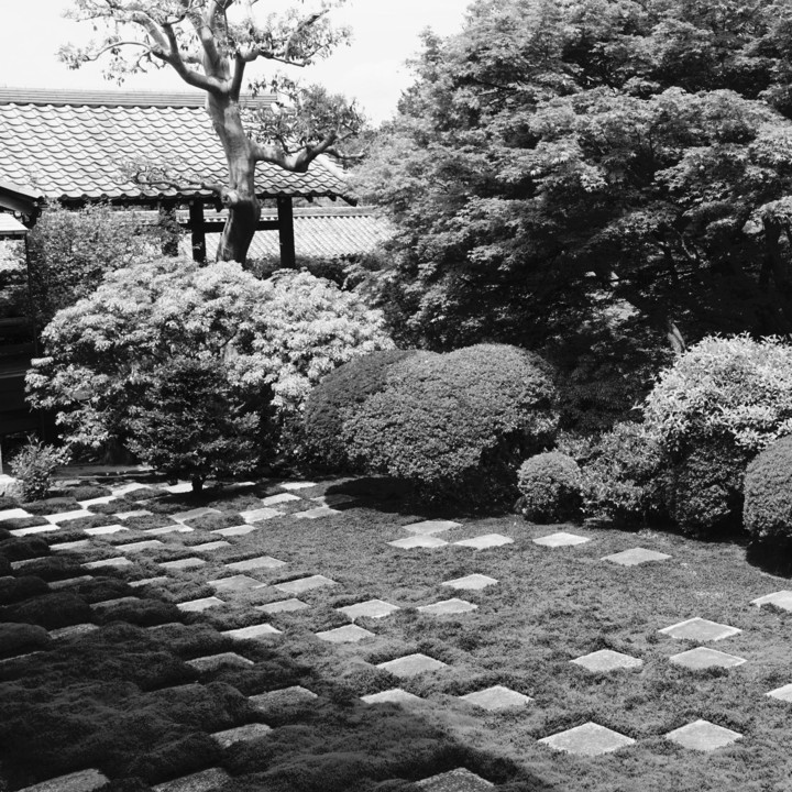 東福寺 方丈 「八相の庭」より