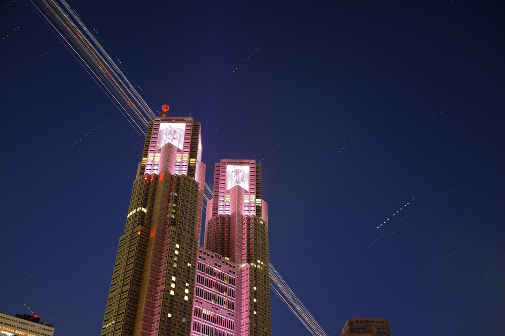 ピンクリボンの都庁と光跡