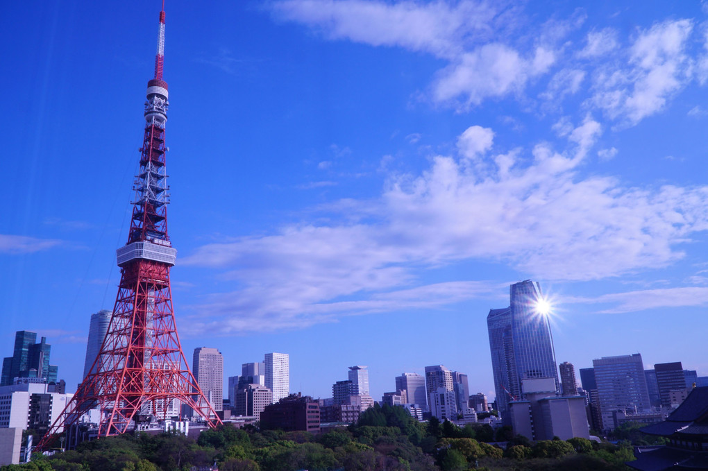 東京タワー、3変化