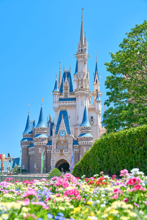 Cinderella Castle Ⅱ