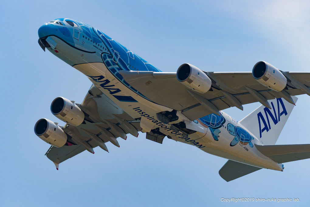 ANA A380 FlyingHONU @4/13KIX