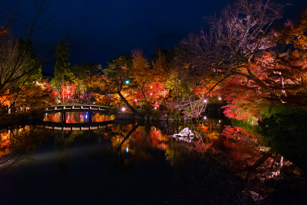 京都、秋～夜の永観堂を訪れて
