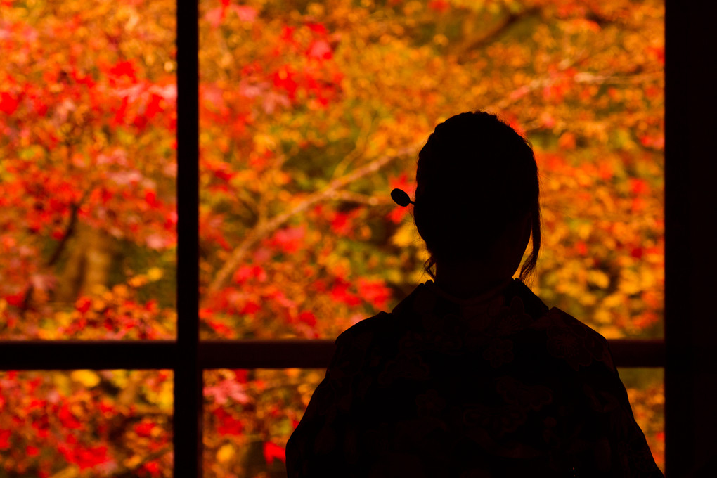 京都、秋 ～瑠璃光院と圓光寺を訪れて
