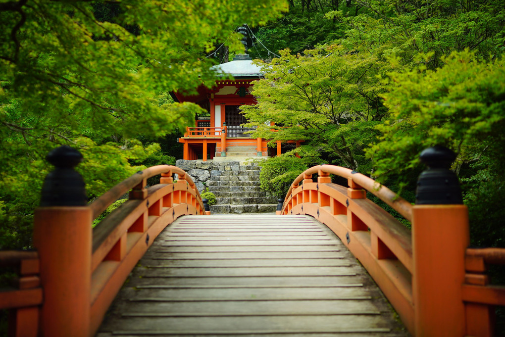 夏の京都旅