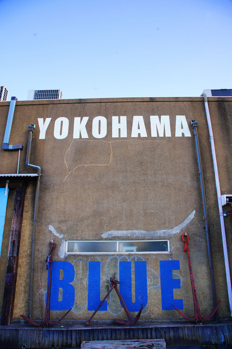 YOKOHAMA BLUE a99m2+SAL24-105 
