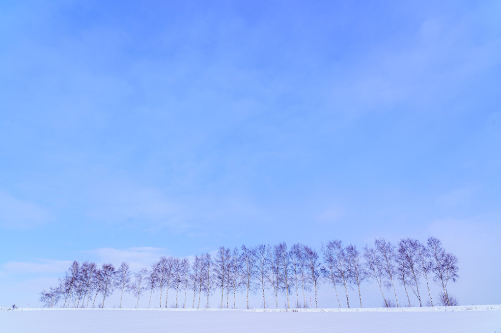 冬の旅　～美瑛　Blue＆ Whiteの世界～　#カレンダー2024　