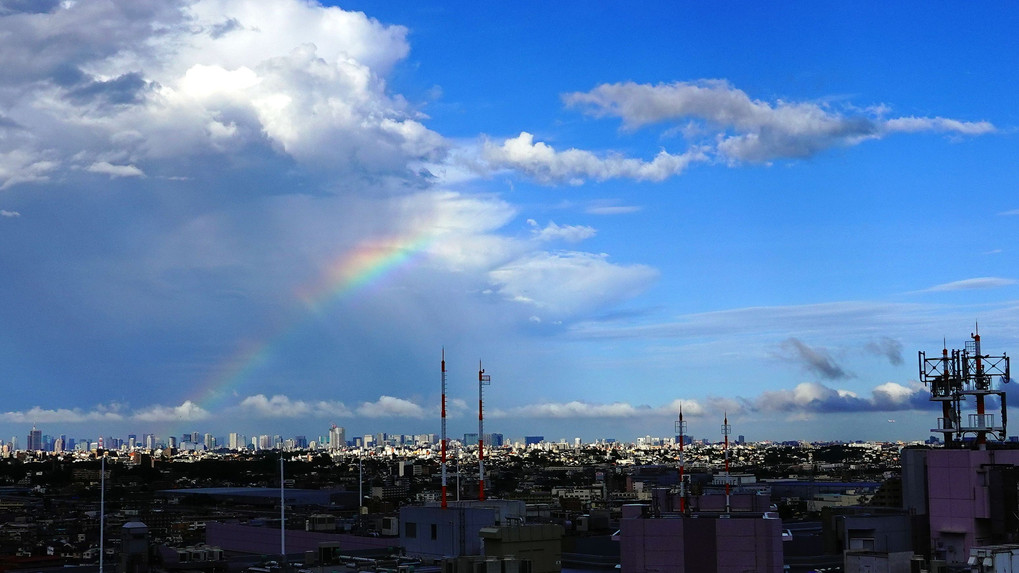 Welcome to Rainbow Tokyo.