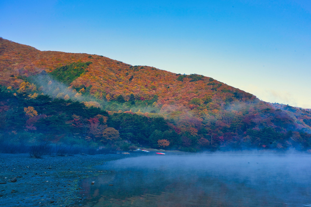 本栖湖の朝霧に包まれる紅葉