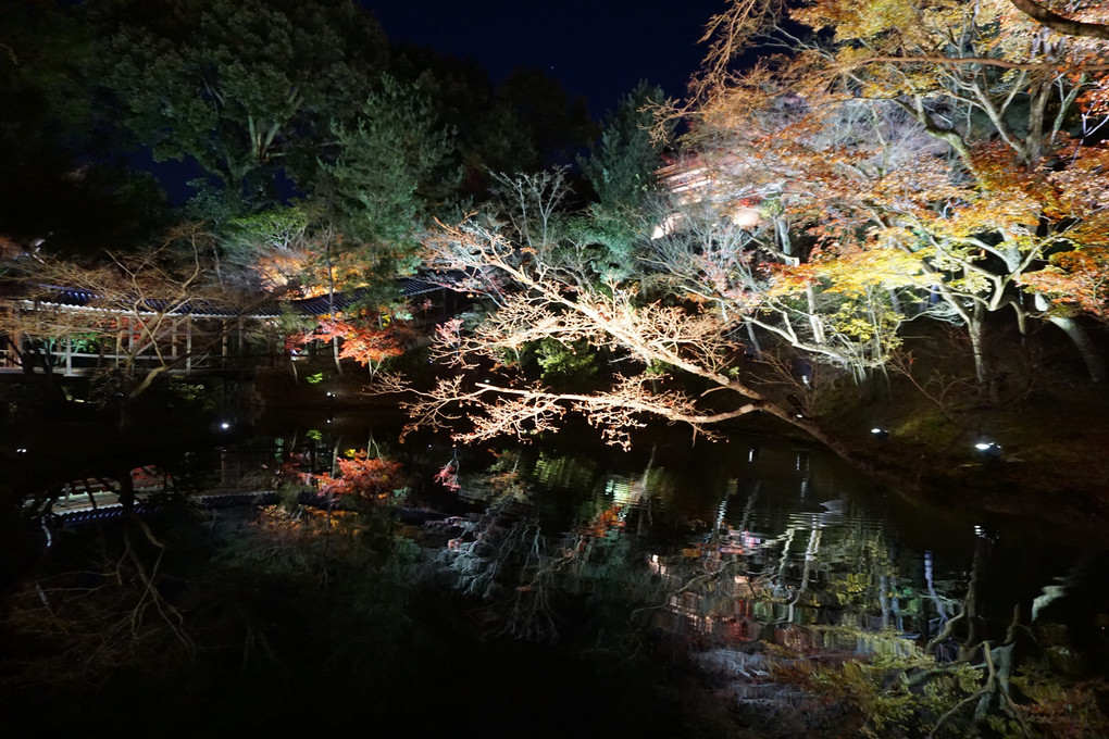 京都　高台寺　４１０年の歴史