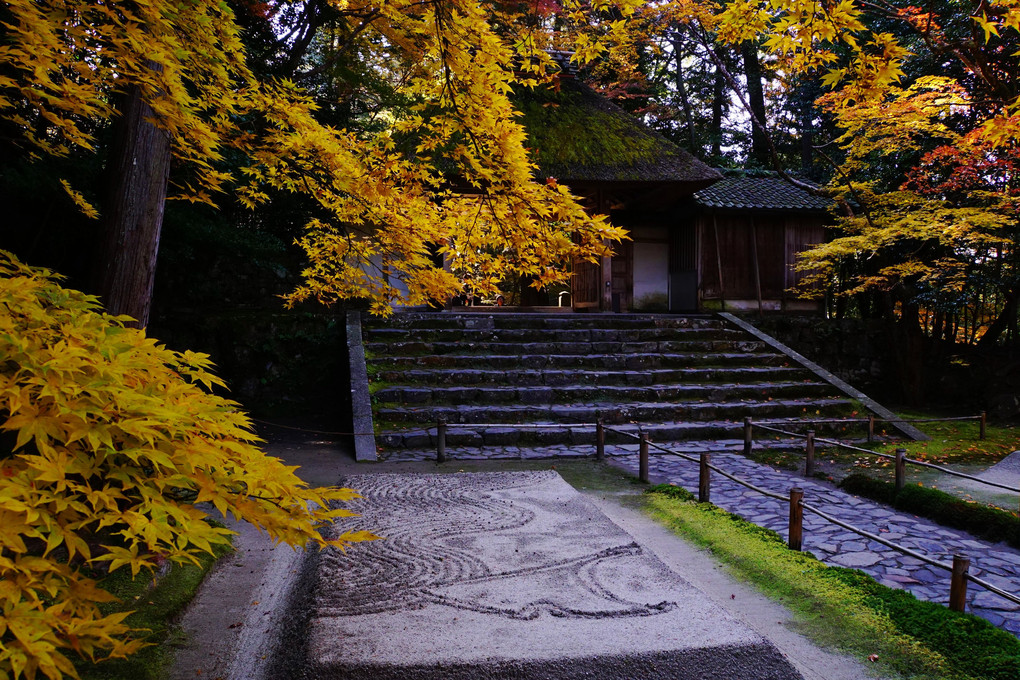 京都の寺院　紅葉門