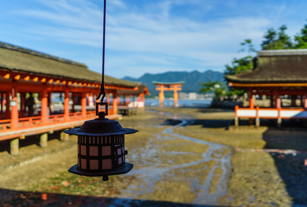 厳島神社の朝