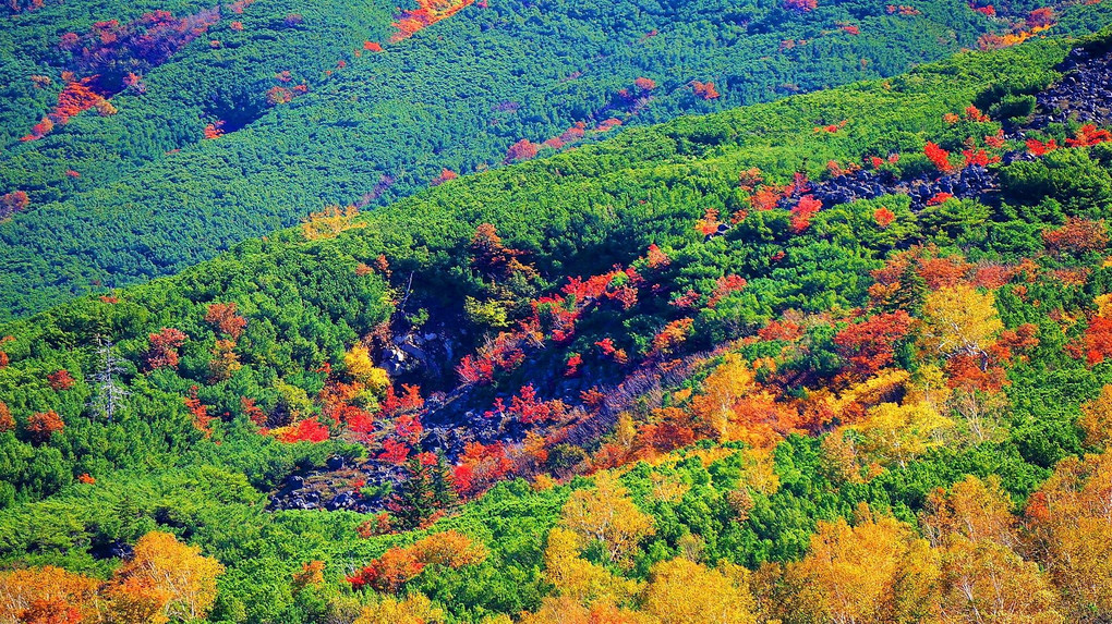 十勝岳望岳台からの紅葉