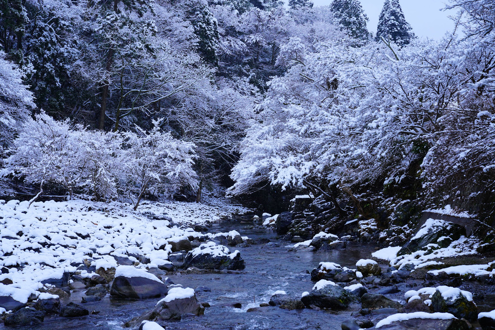 京の雪化粧