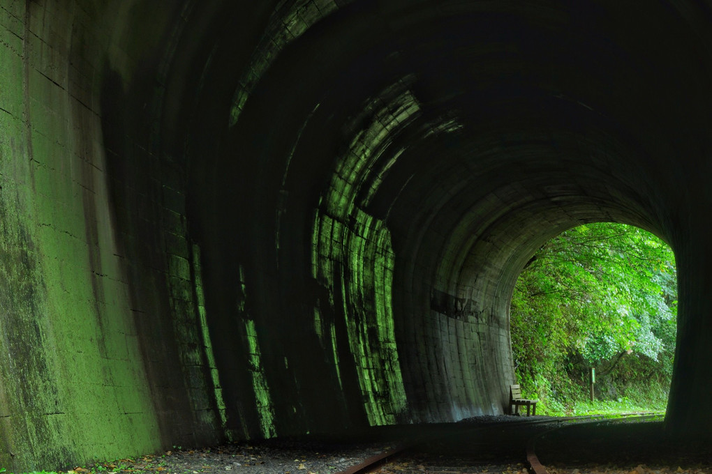 緑の回廊~森林セラピーロード