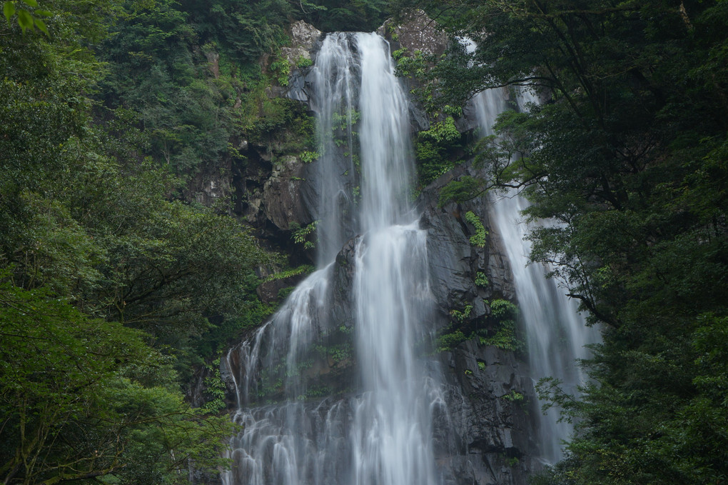 滝巡り~尾鈴山系の白滝と矢研ぎの滝
