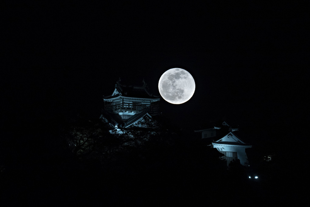 Castle and moon