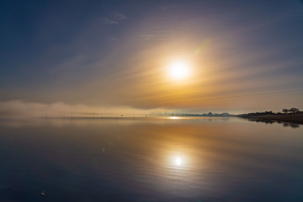 渡良瀬遊水池　朝の情景