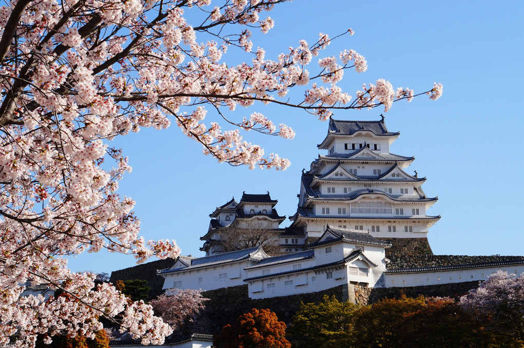 姫路城の春