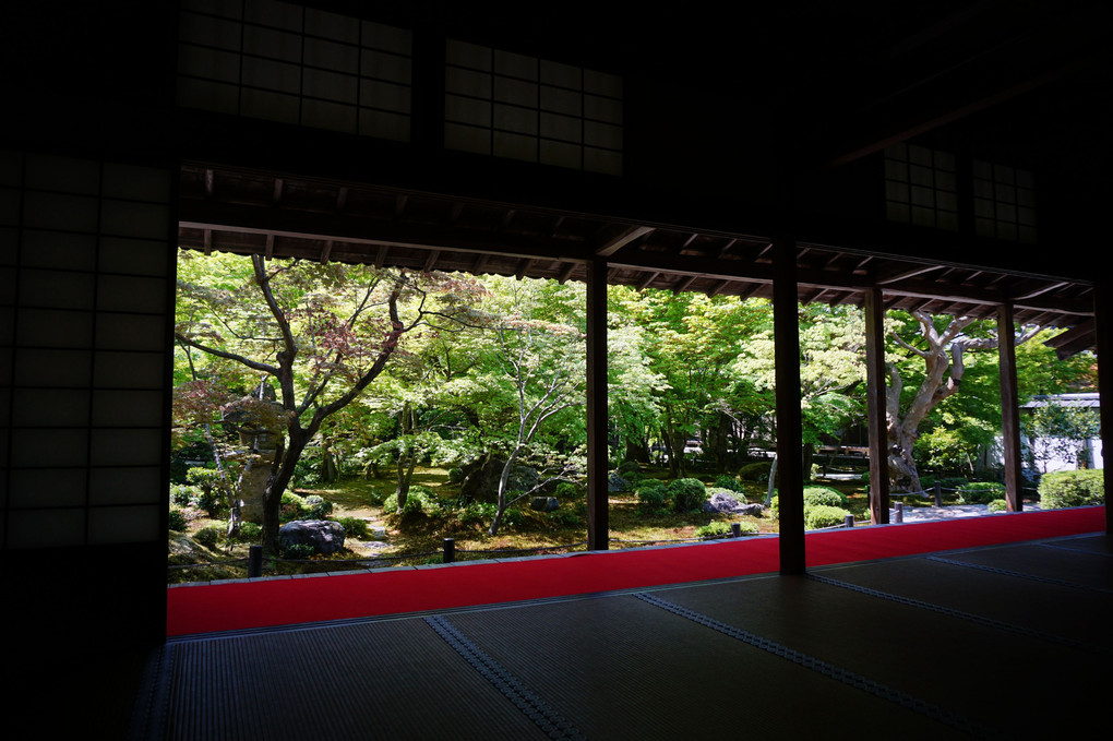 京都寺　散策