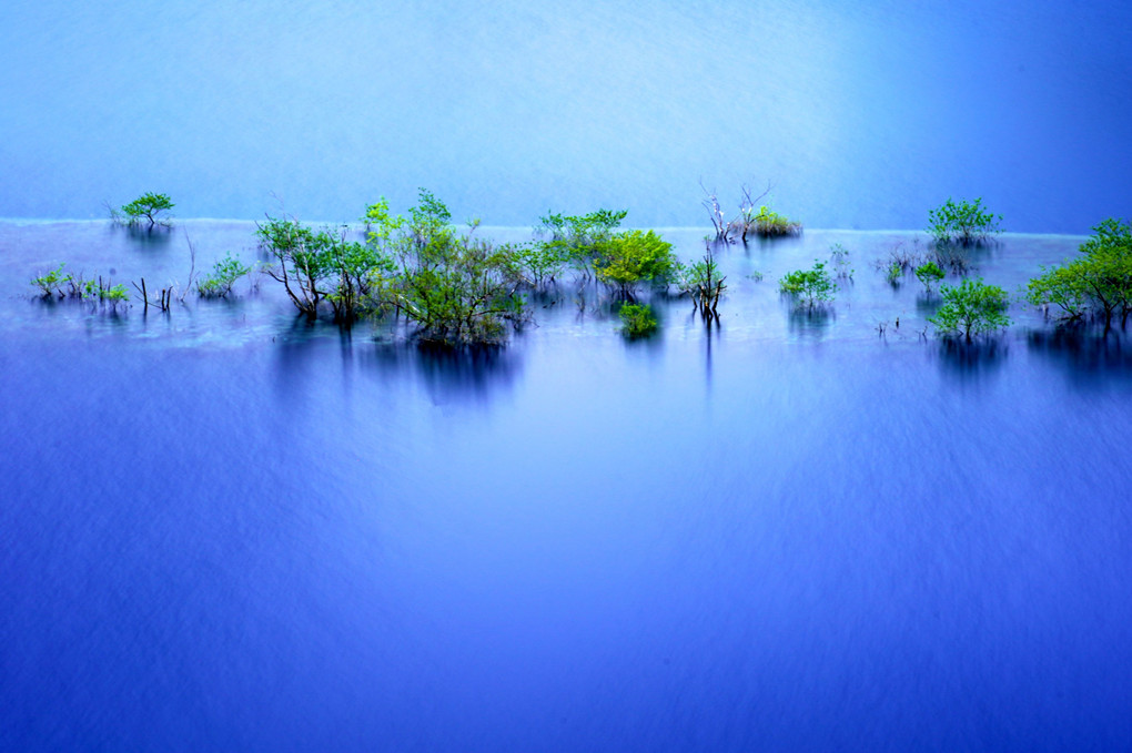 四万ブルーに浮かび上がる奥四万湖の浮島