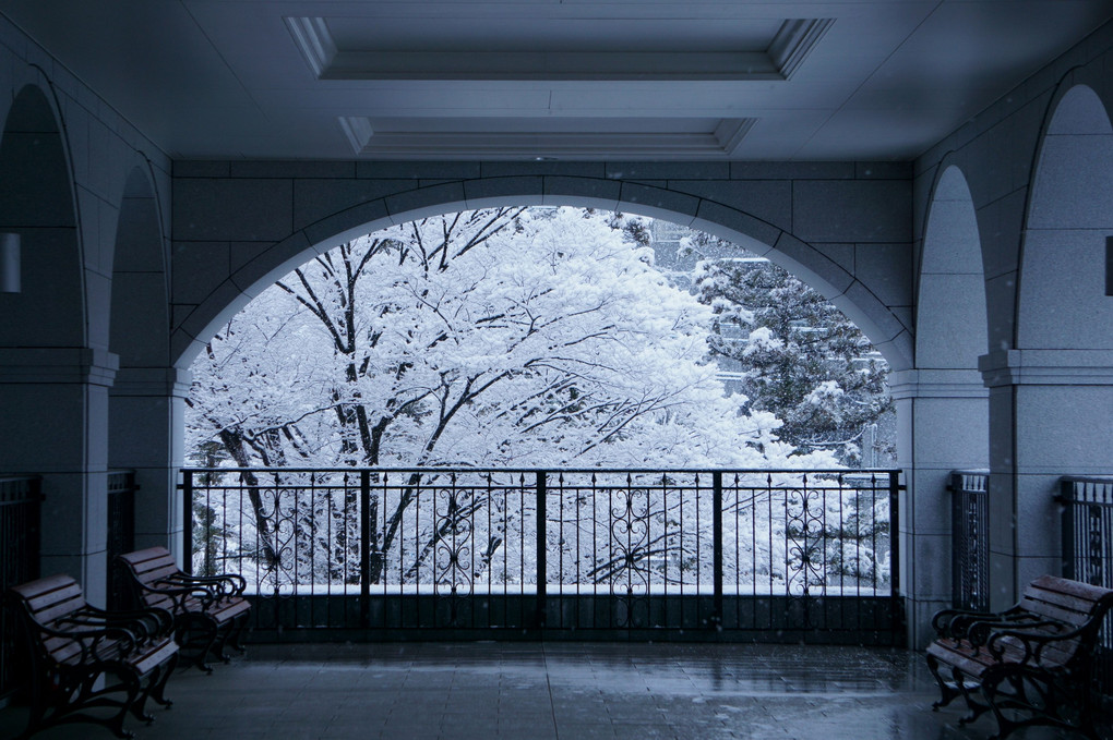 冬の朝 静寂の窓