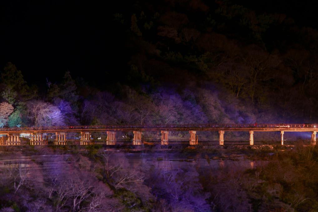 宵闇の森に架ける橋