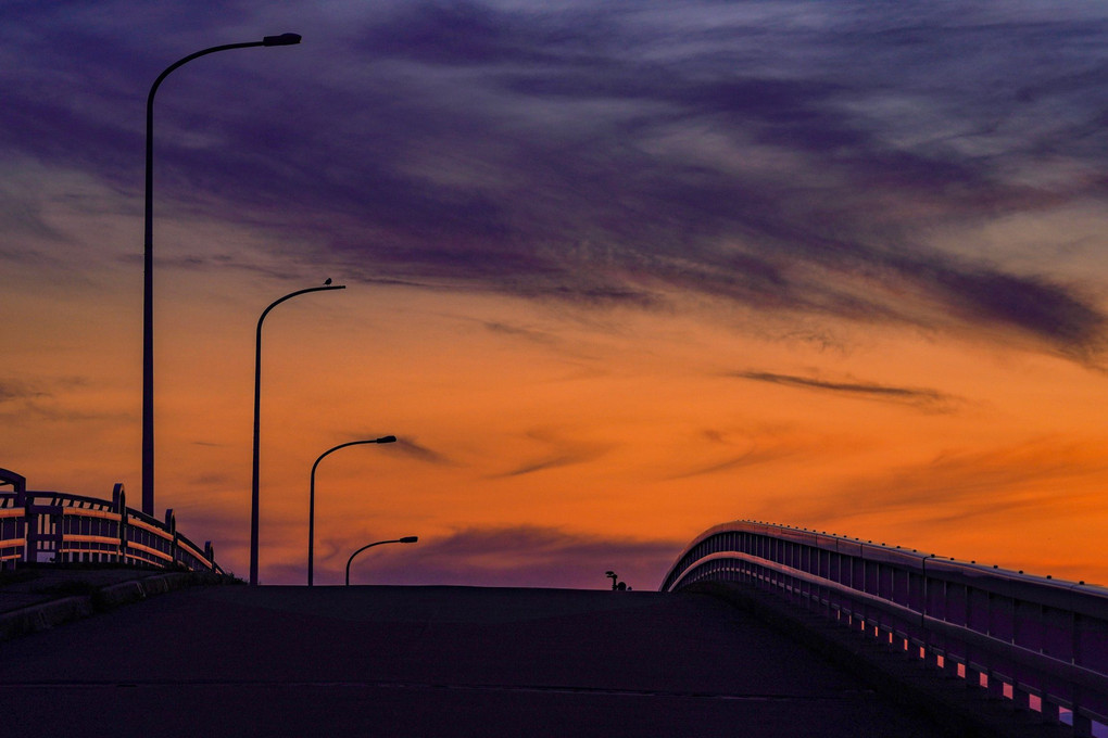 君と歩きたい夕陽の橋・・・