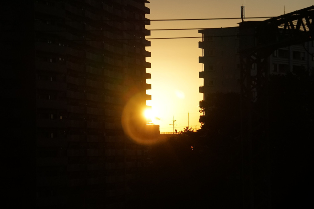建物横からの日の出