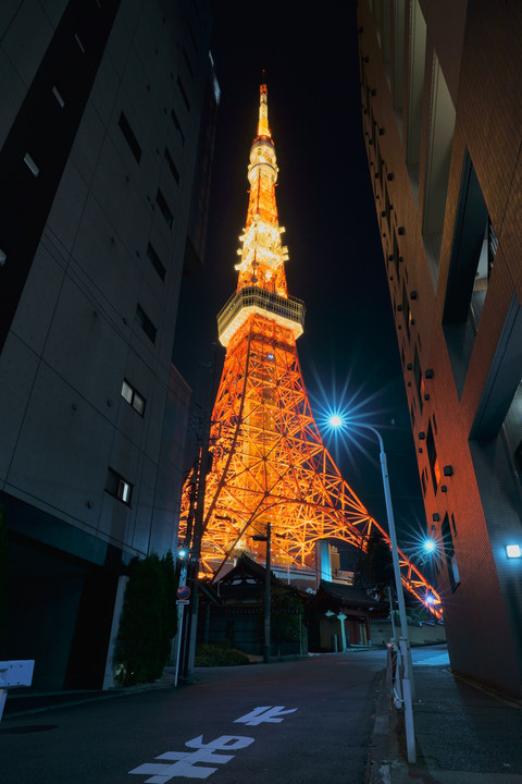 隙間から見る東京タワー
