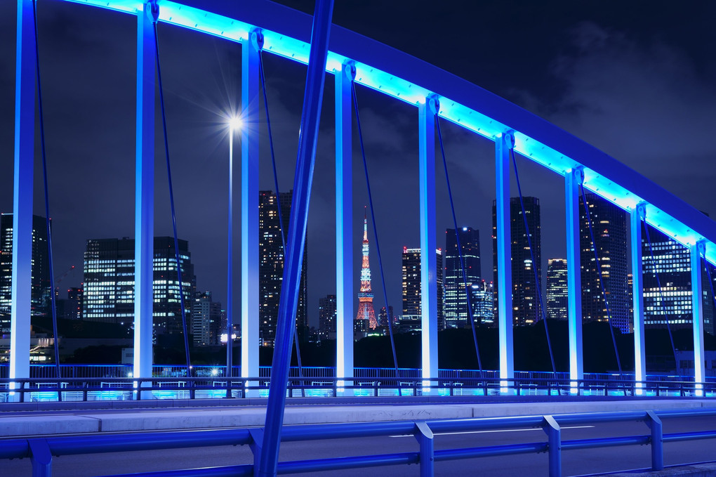夜の築地大橋と東京タワー