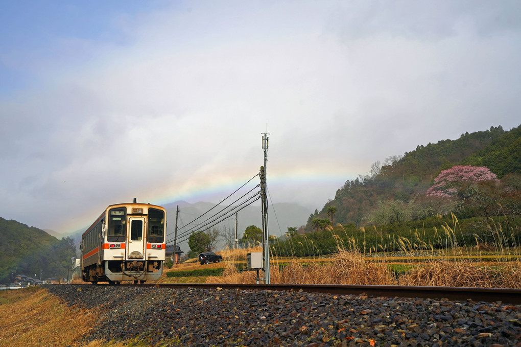 虹と列車と淡墨桜