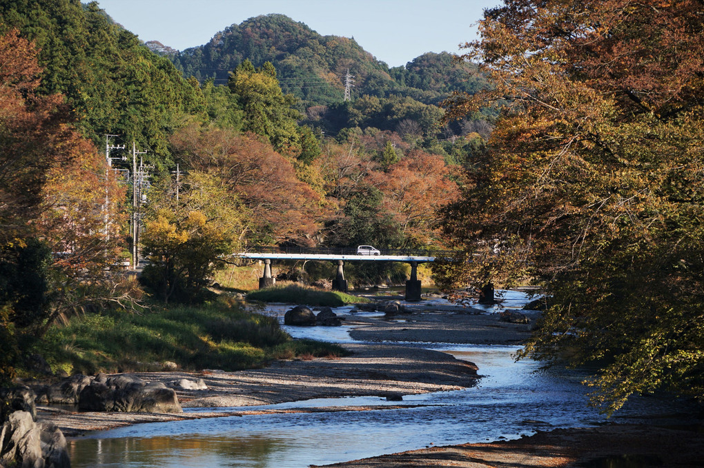 秋川渓流の紅葉