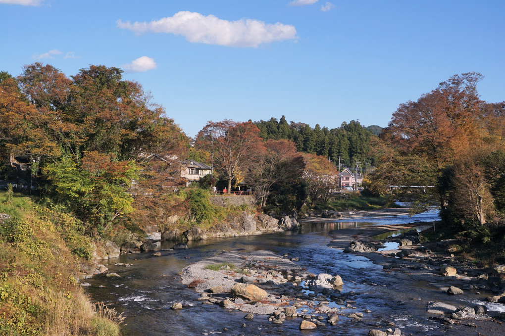 秋川渓流の紅葉