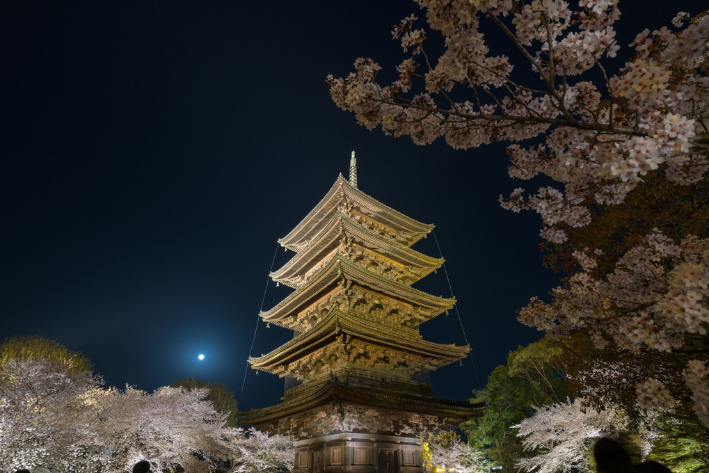 桜と月と五重塔 （東寺）