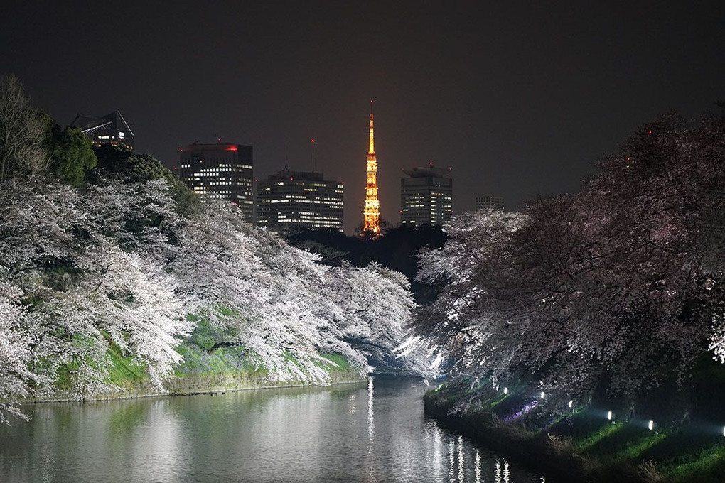 春夜の東京