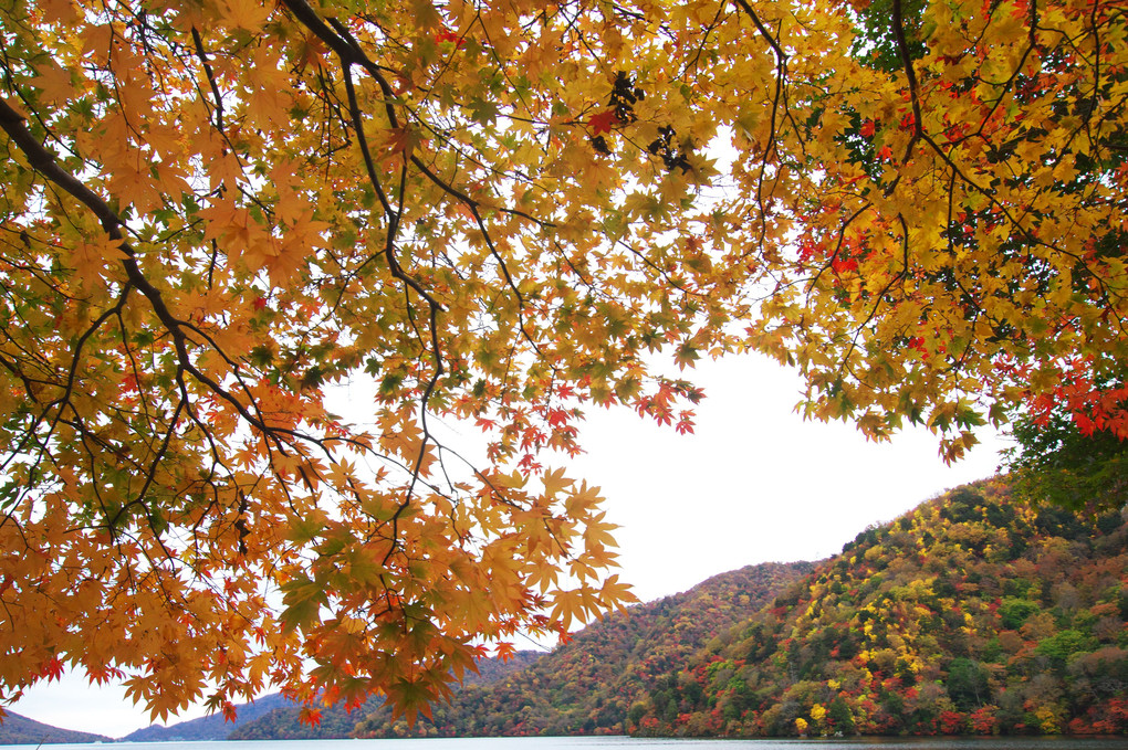 秋の中禅寺湖畔