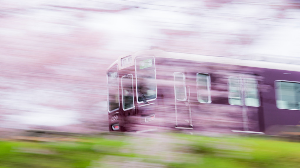 桜過ぎ去る阪急列車