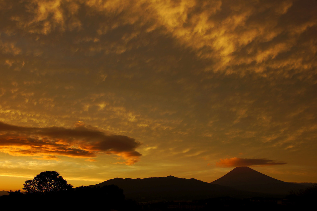 茜色の雲と富士と大樹