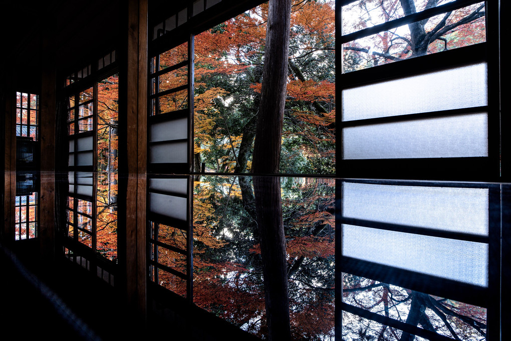 晩秋の大瀧神社　#カレンダー2024